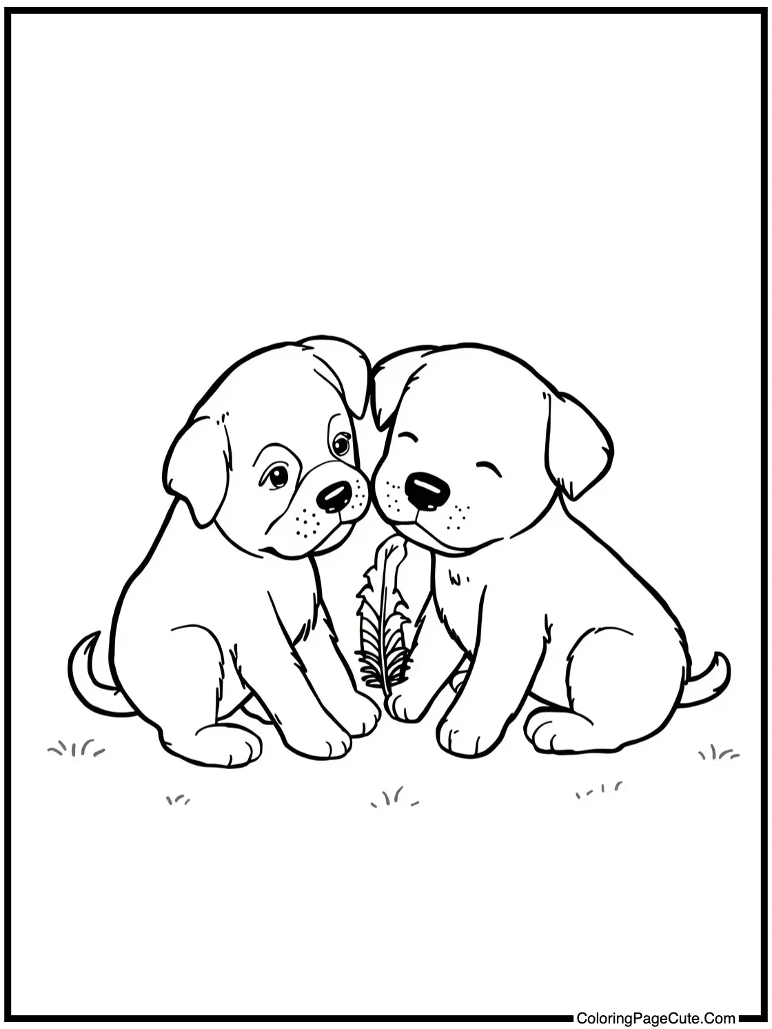 playing with a feather