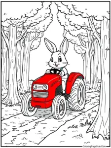 Rabbit Coloring Pages For Adults