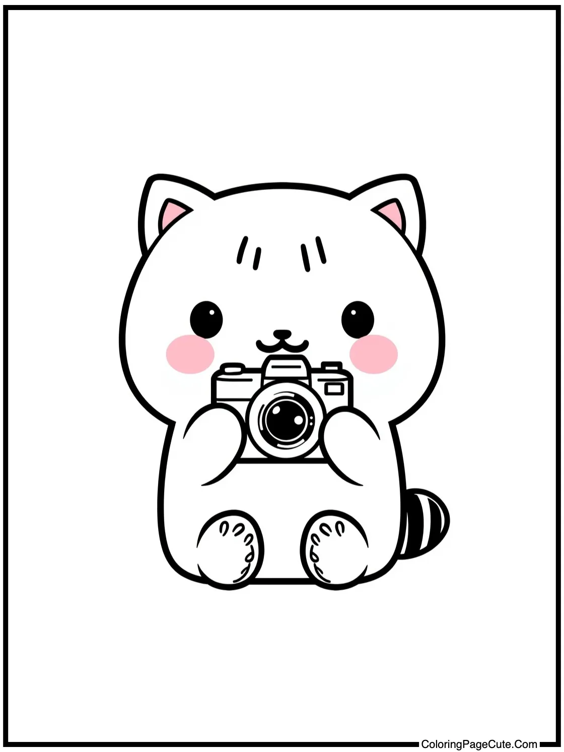 Kuromi with a camera