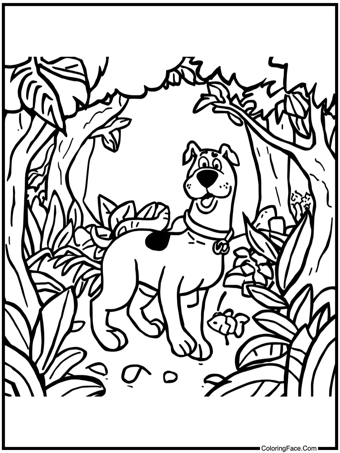 a jungle exploration