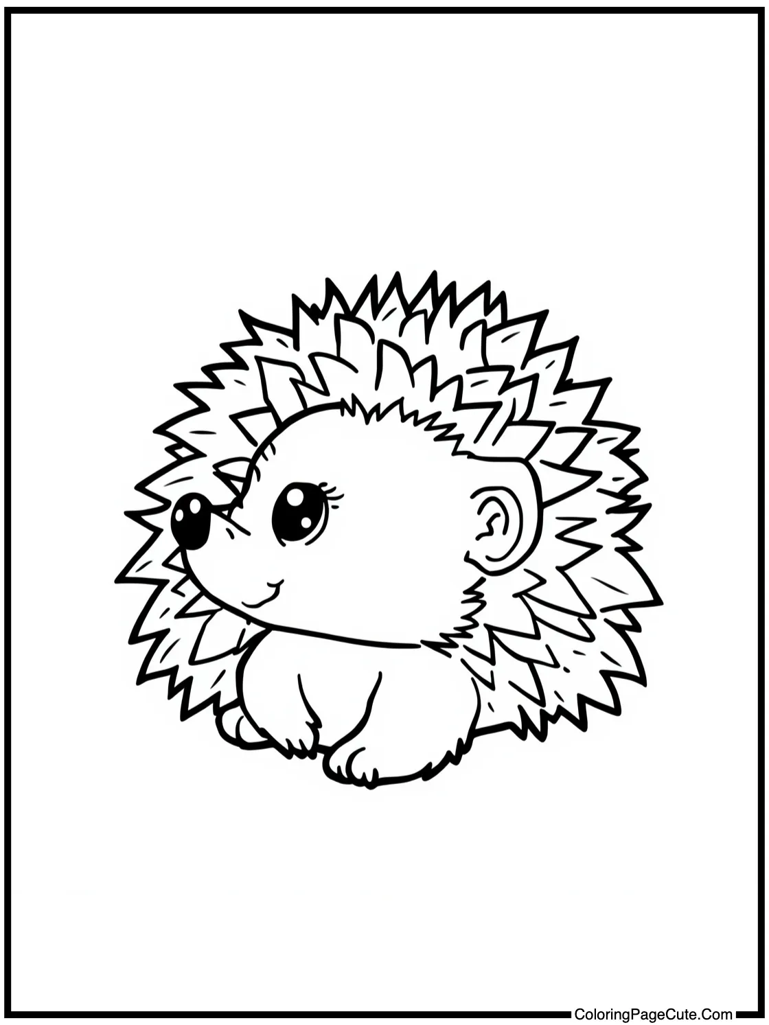 Baby hedgehog looking curious