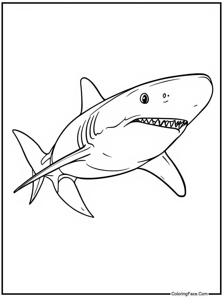 Mako racing fast water