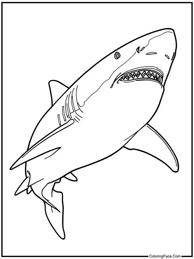 Megalodon extinct giant beast