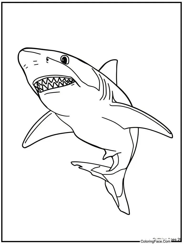 Fin cutting water surface