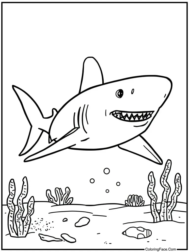 Near sandy beach shore