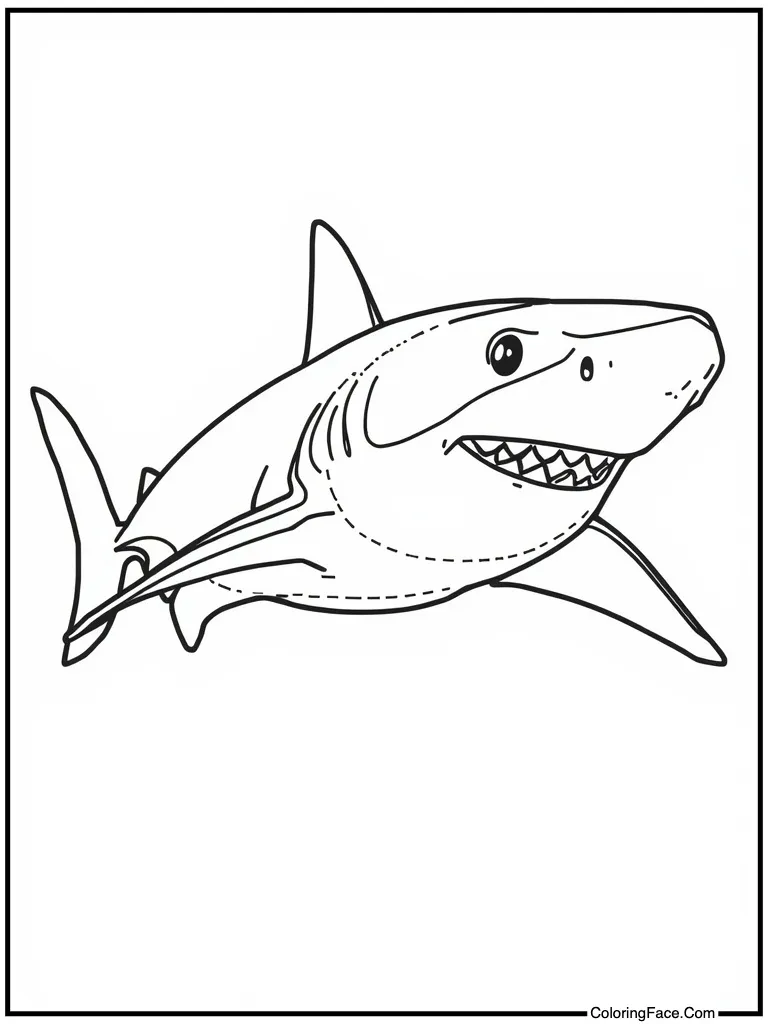 Trace the dashed lines