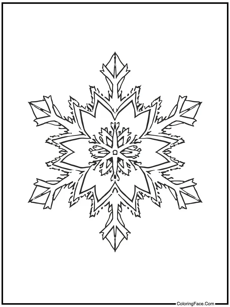 Six pointed ice crystal