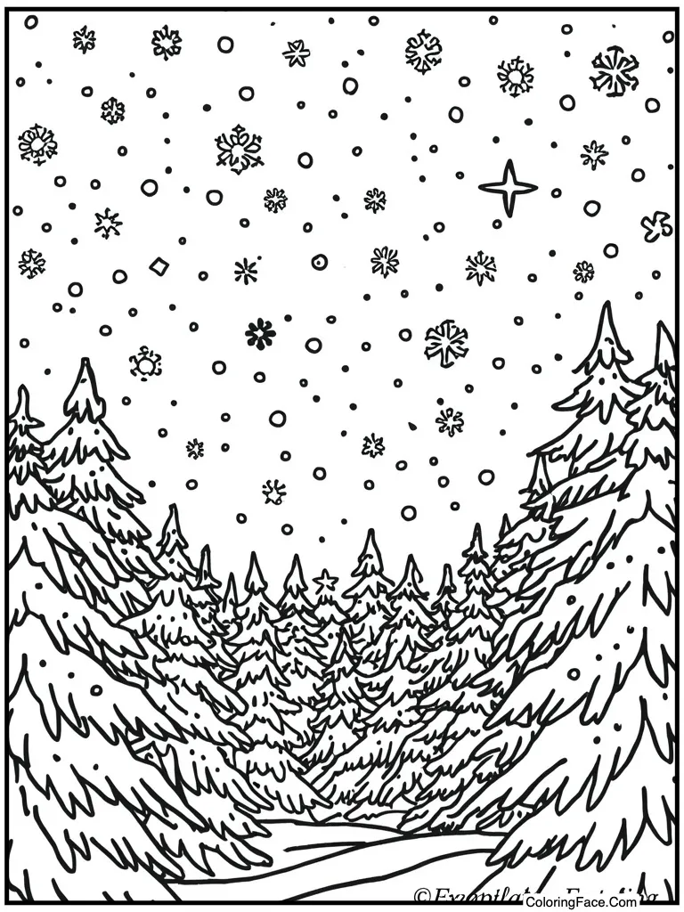 Starry winter night sky