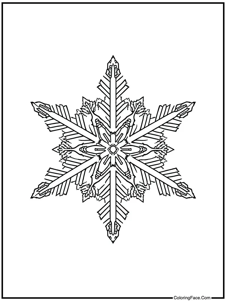 Sparkly silver winter star