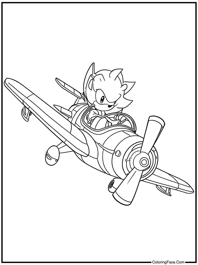 Flying plane with friend