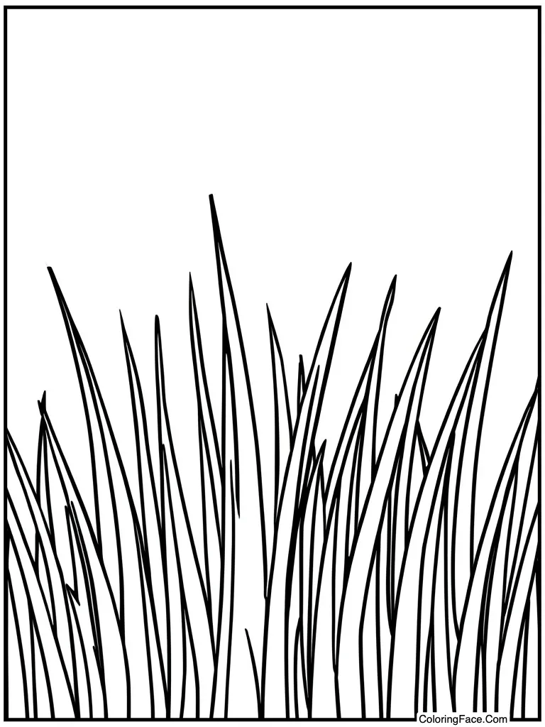 Green grass growing tall