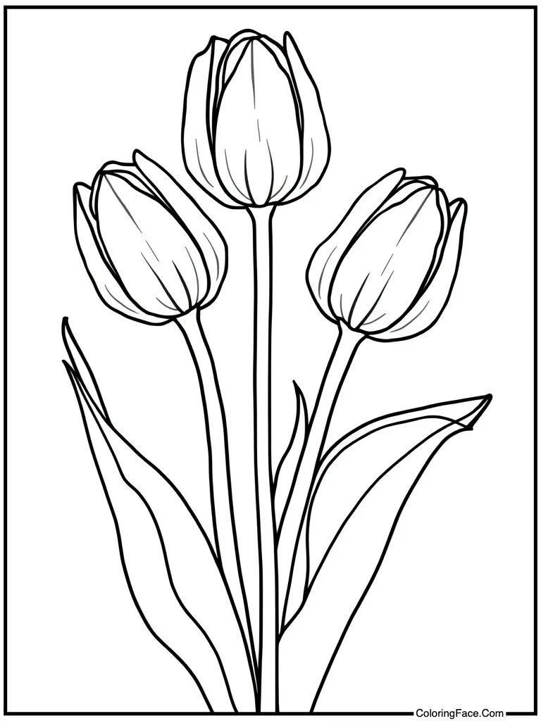 Tulips opening red petals