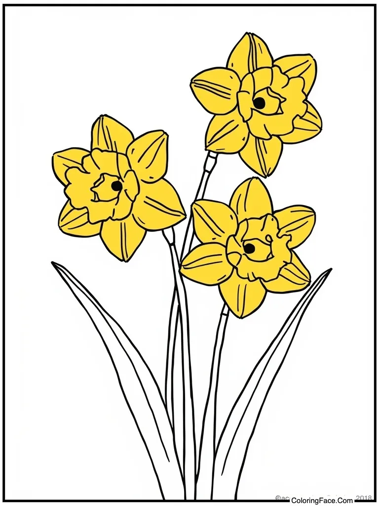 Daffodils yellow and bright