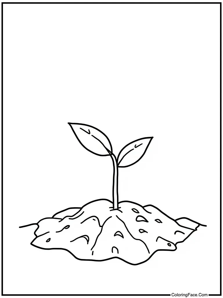 Seedling sprouting from dirt