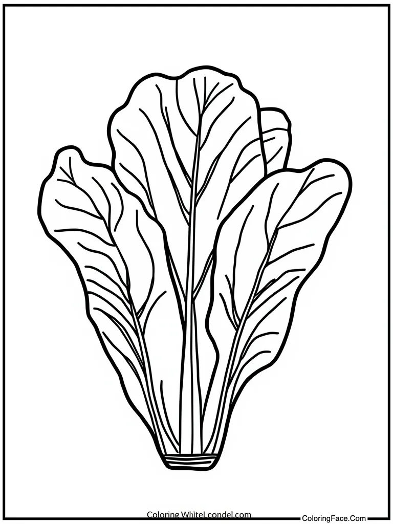 Lettuce leaves green crisp