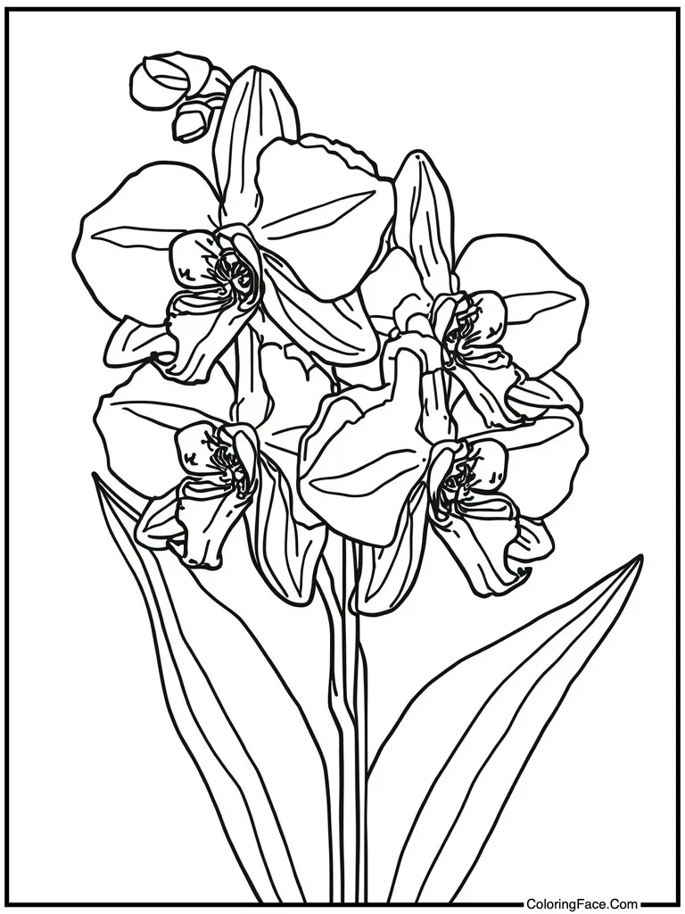 Orchids exotic and rare