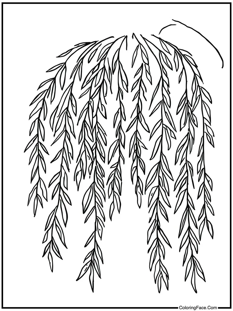 Willow tree branches hanging