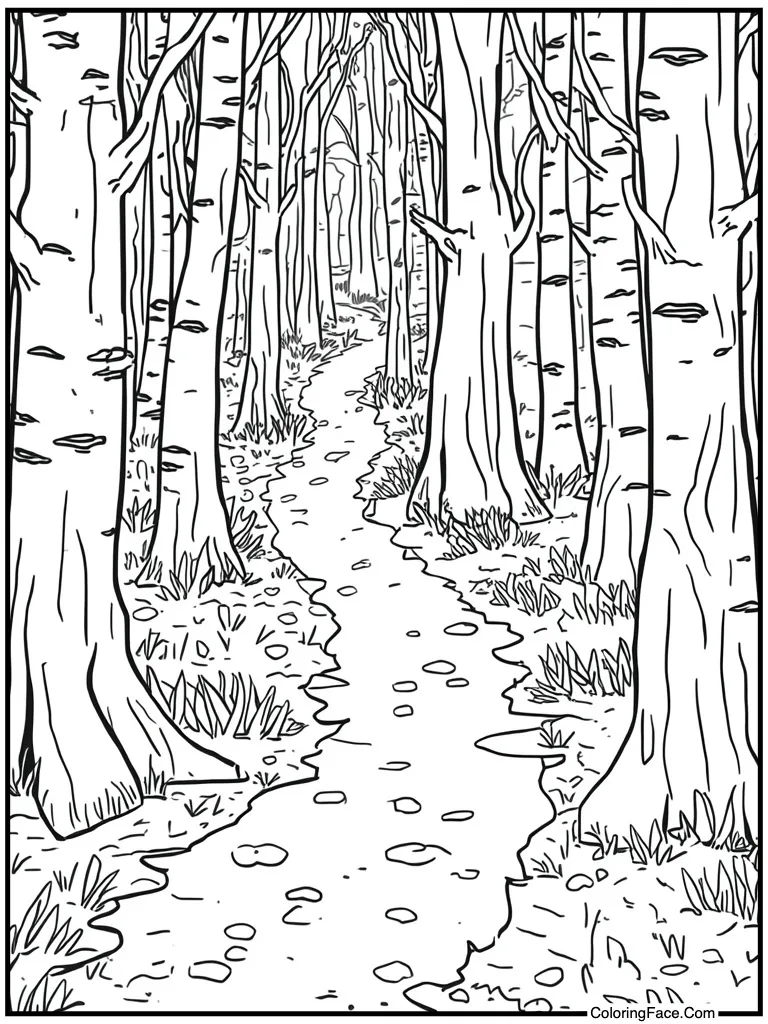 Forest path winding deep