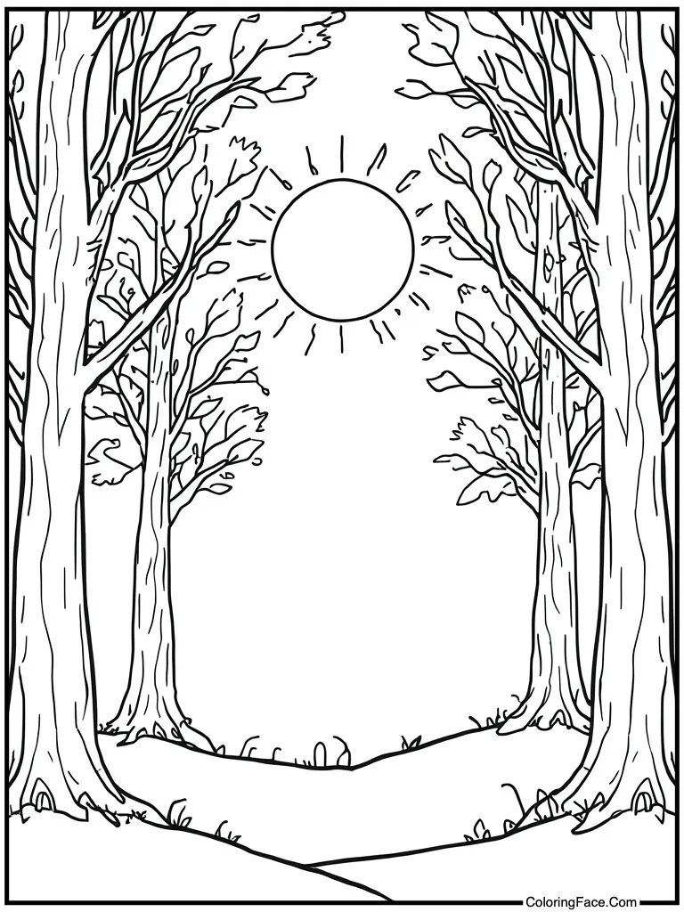 Sun shining very bright