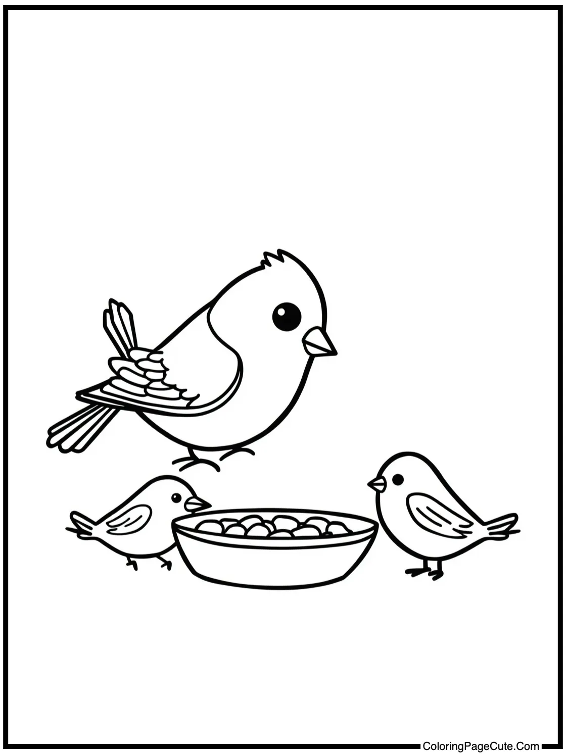 feeding little birds