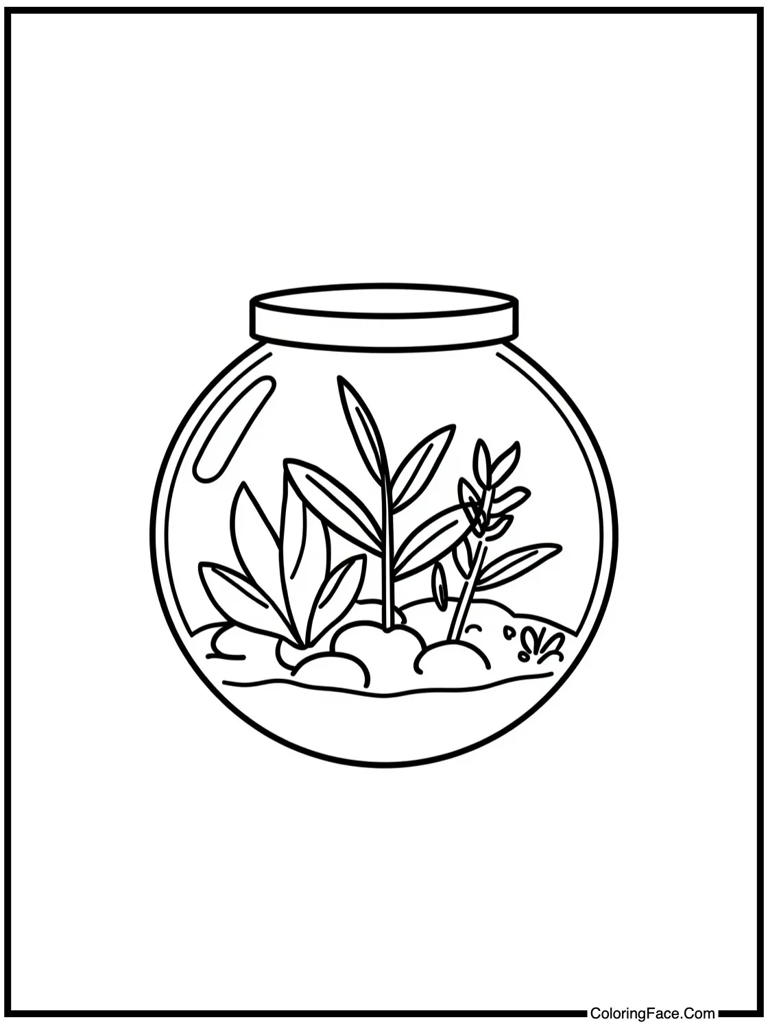 making a terrarium