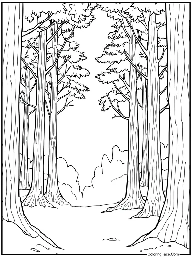 White background clean slate