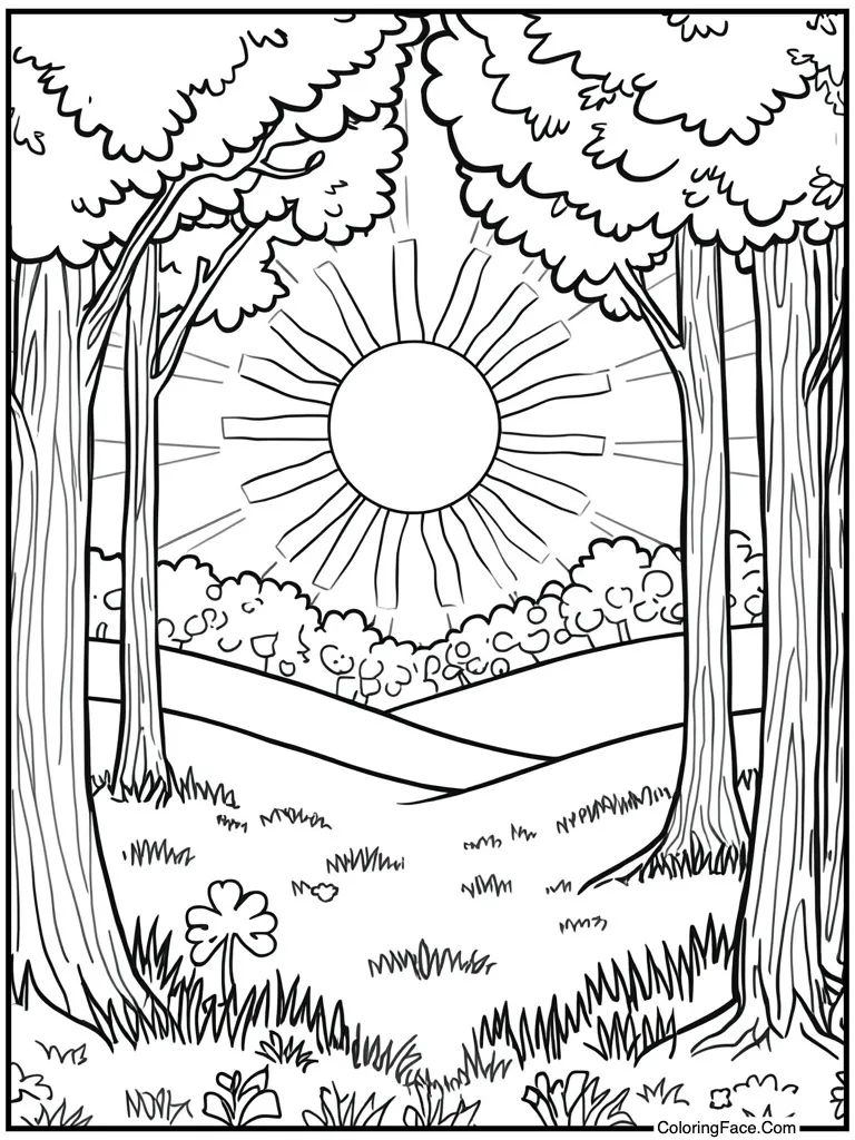 Sun shining on meadow