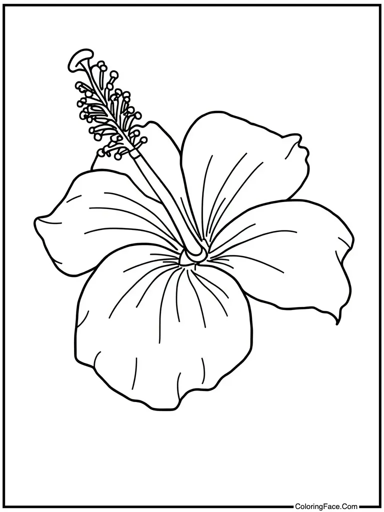 Hibiscus flower in ear