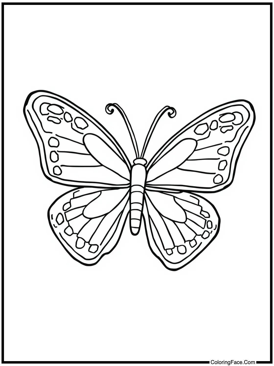 admiring butterflies