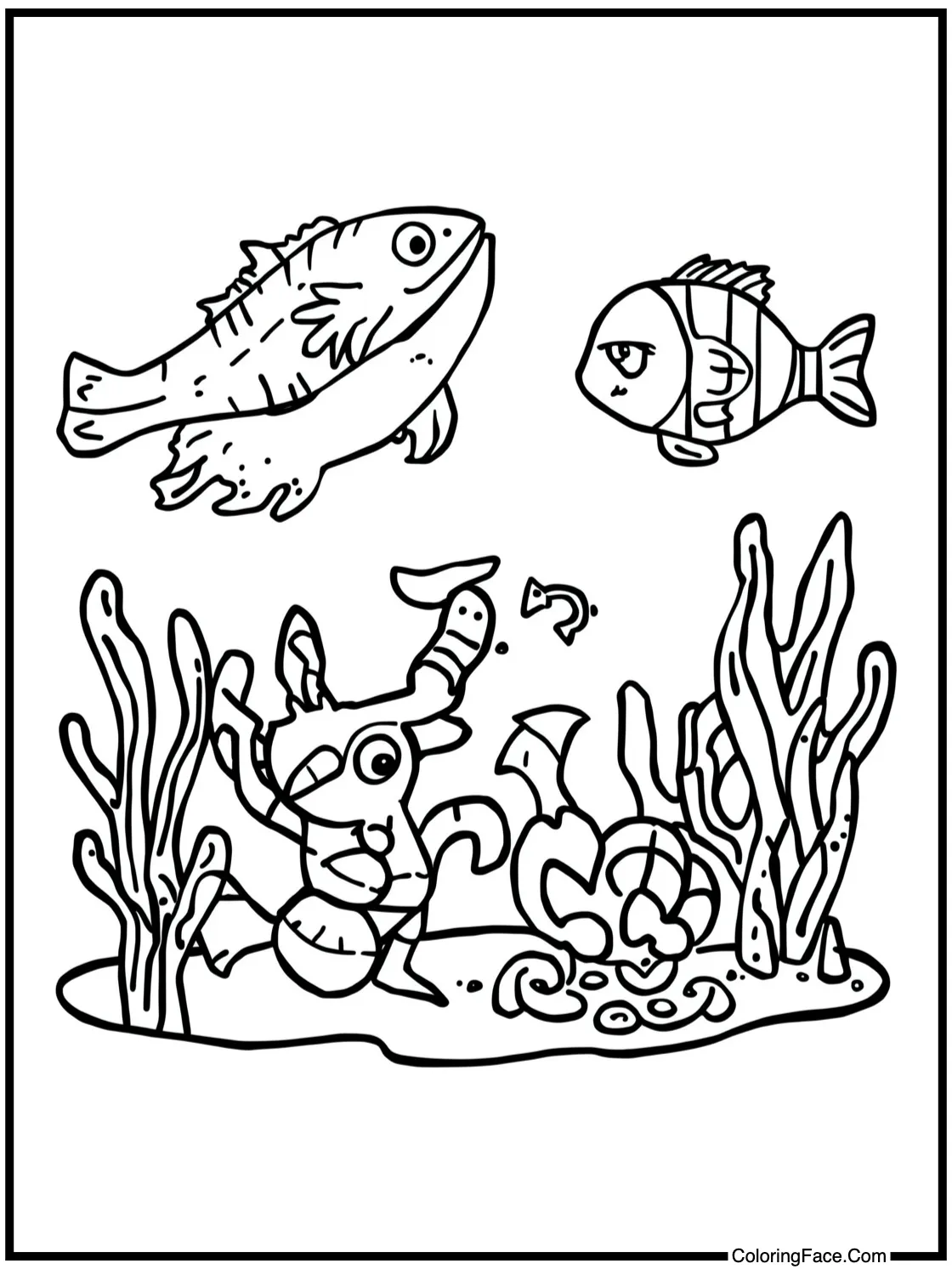 Ocean animal friends