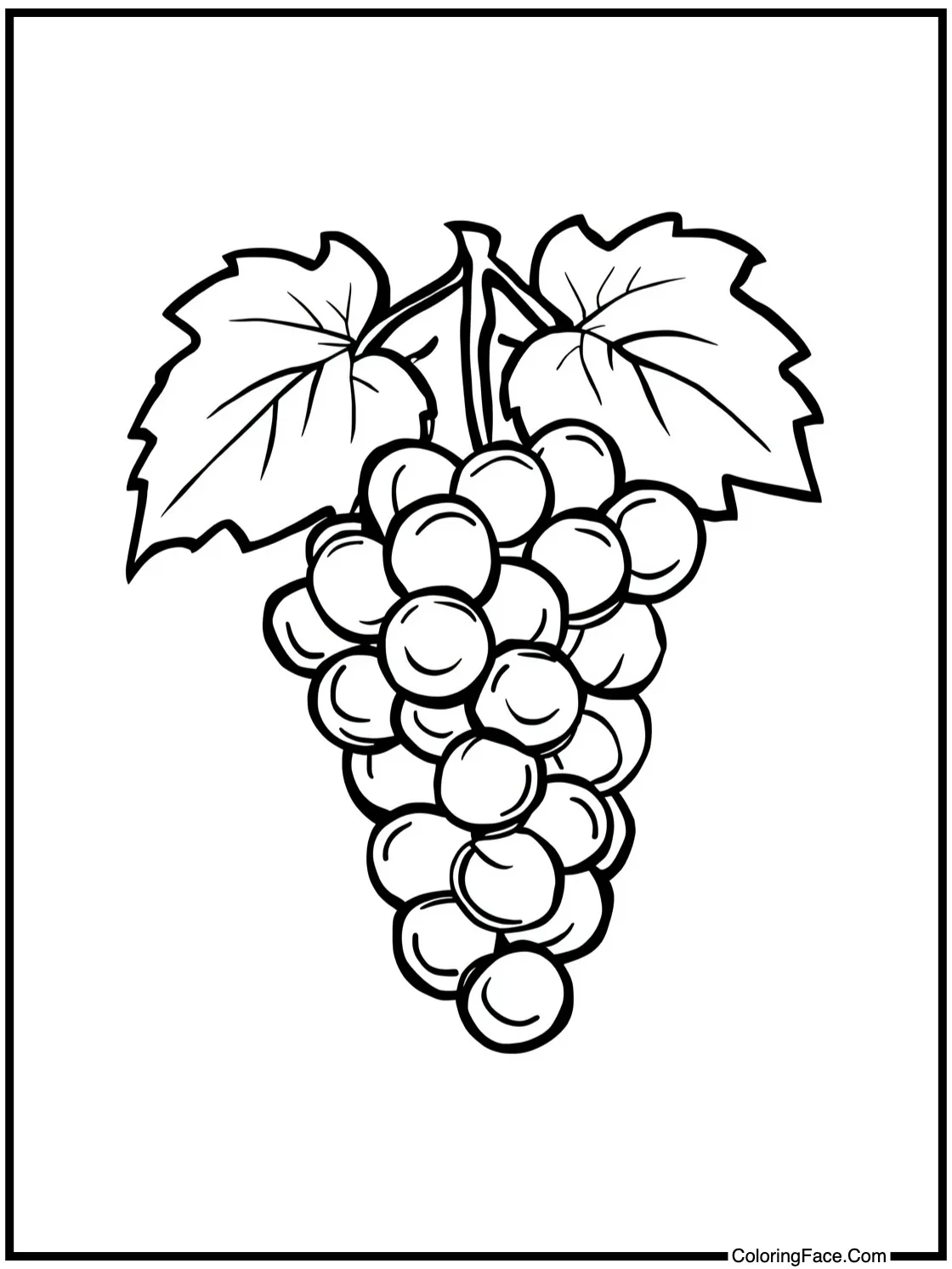 Grapes on vine