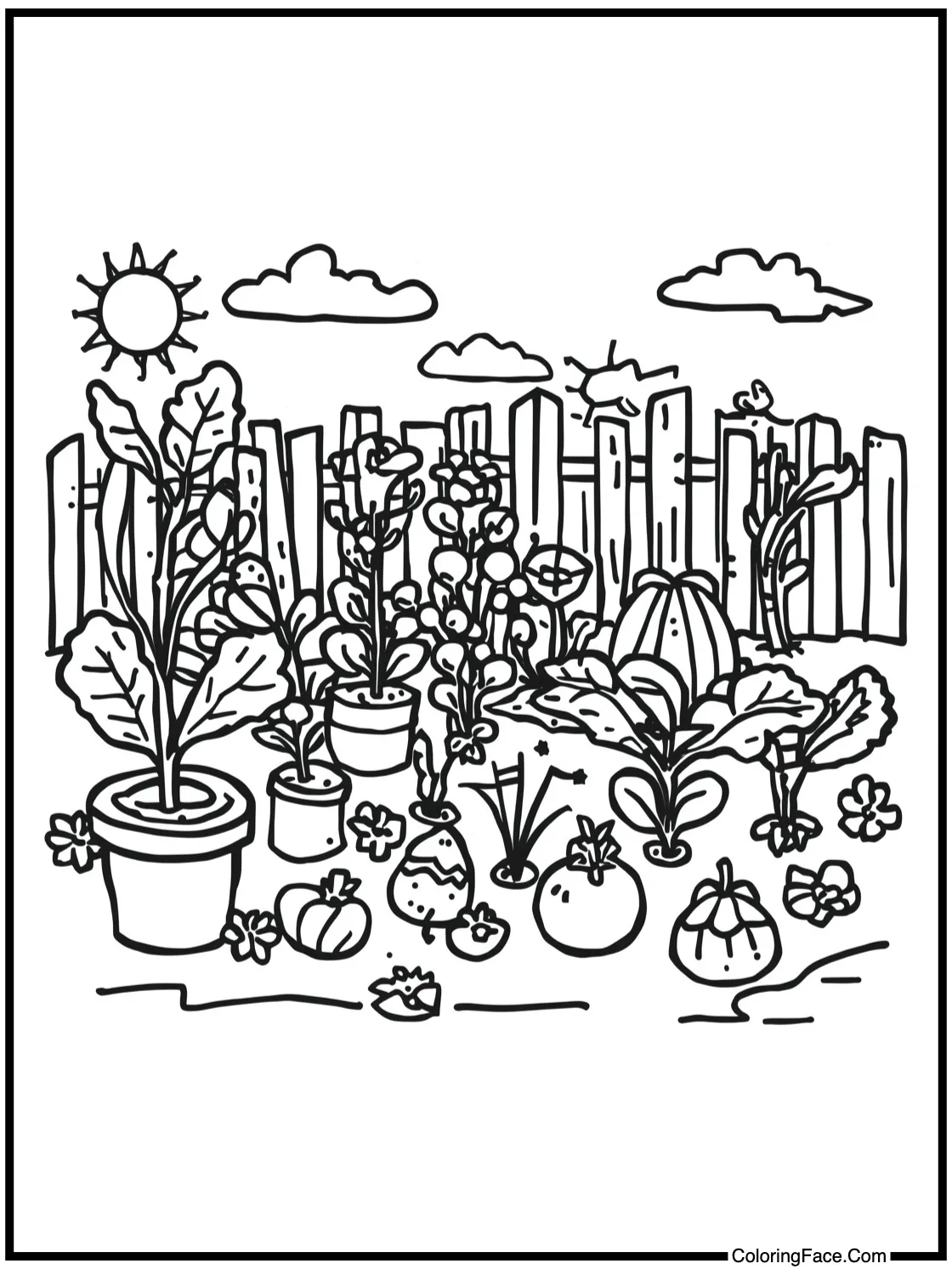 Garden vegetables growing