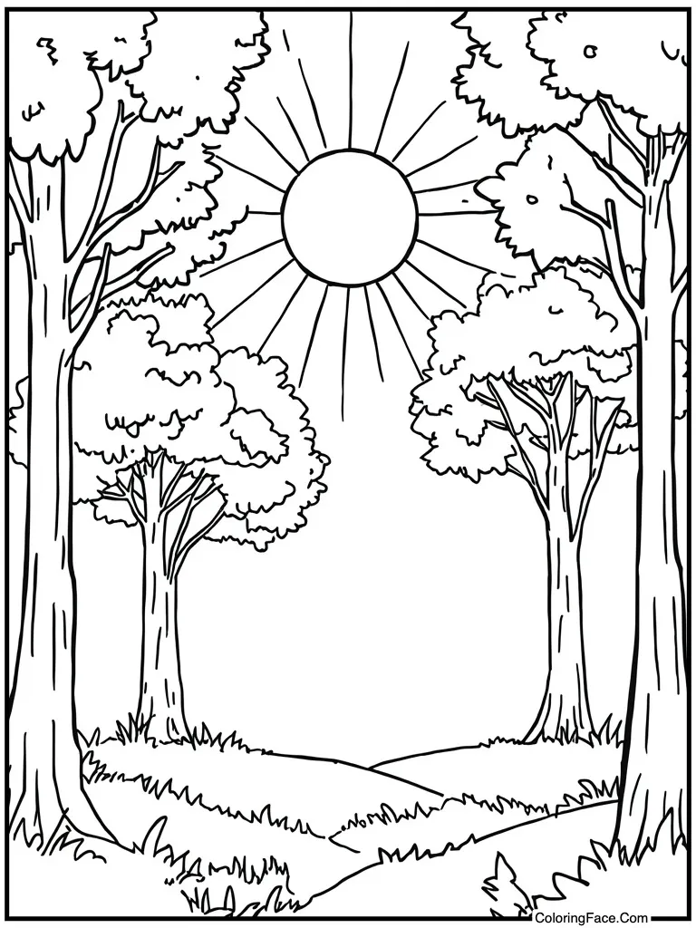 Bright sun shining down