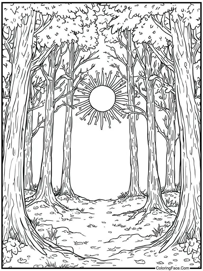 Mandala sun circle pattern