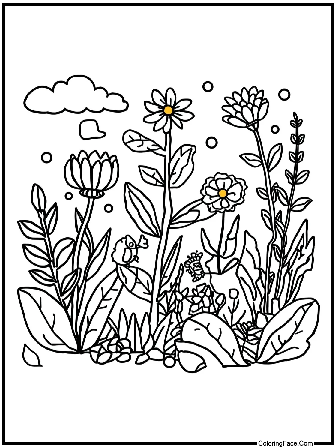 Observing nature's beauty.