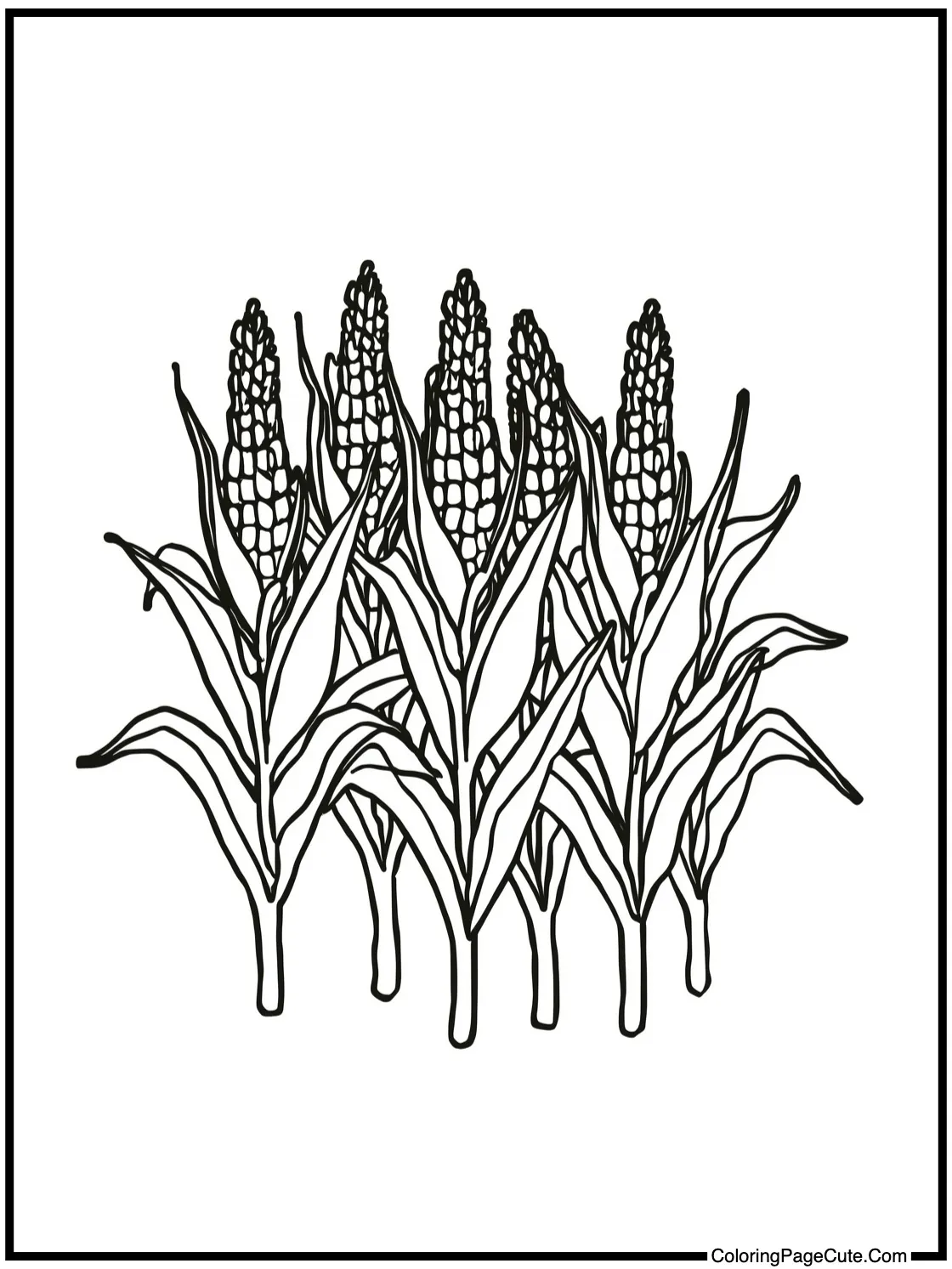 corn stalks standing tall