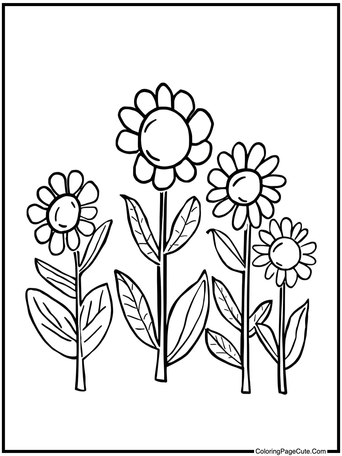 fall flowers blooming