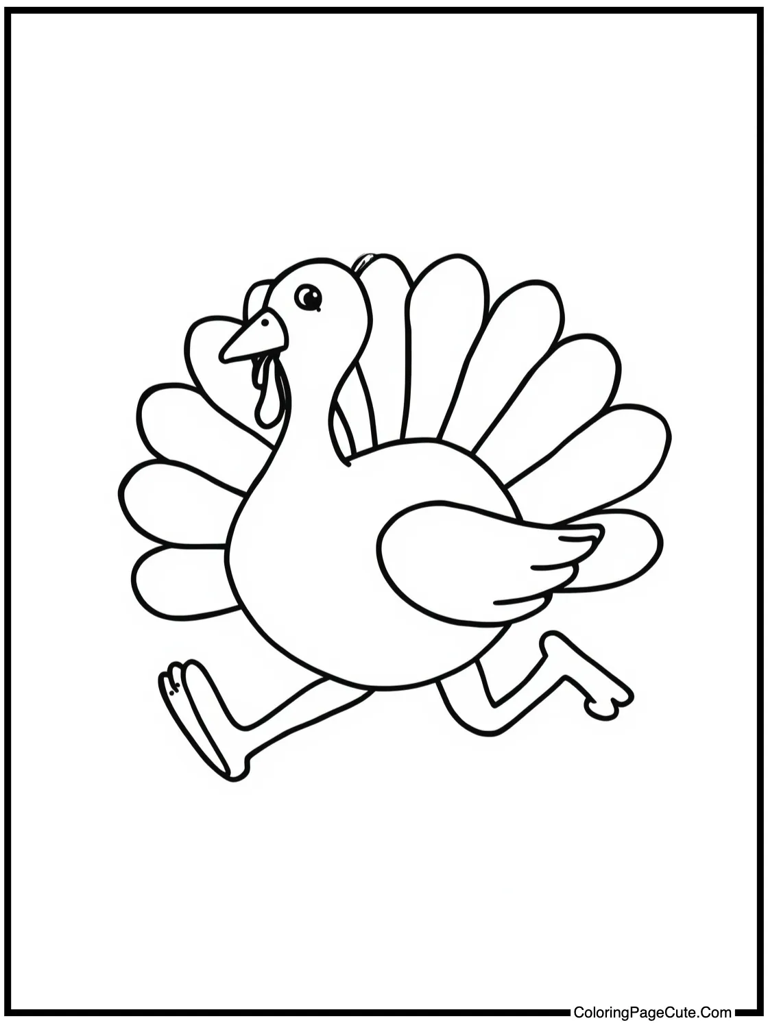 playful turkey running