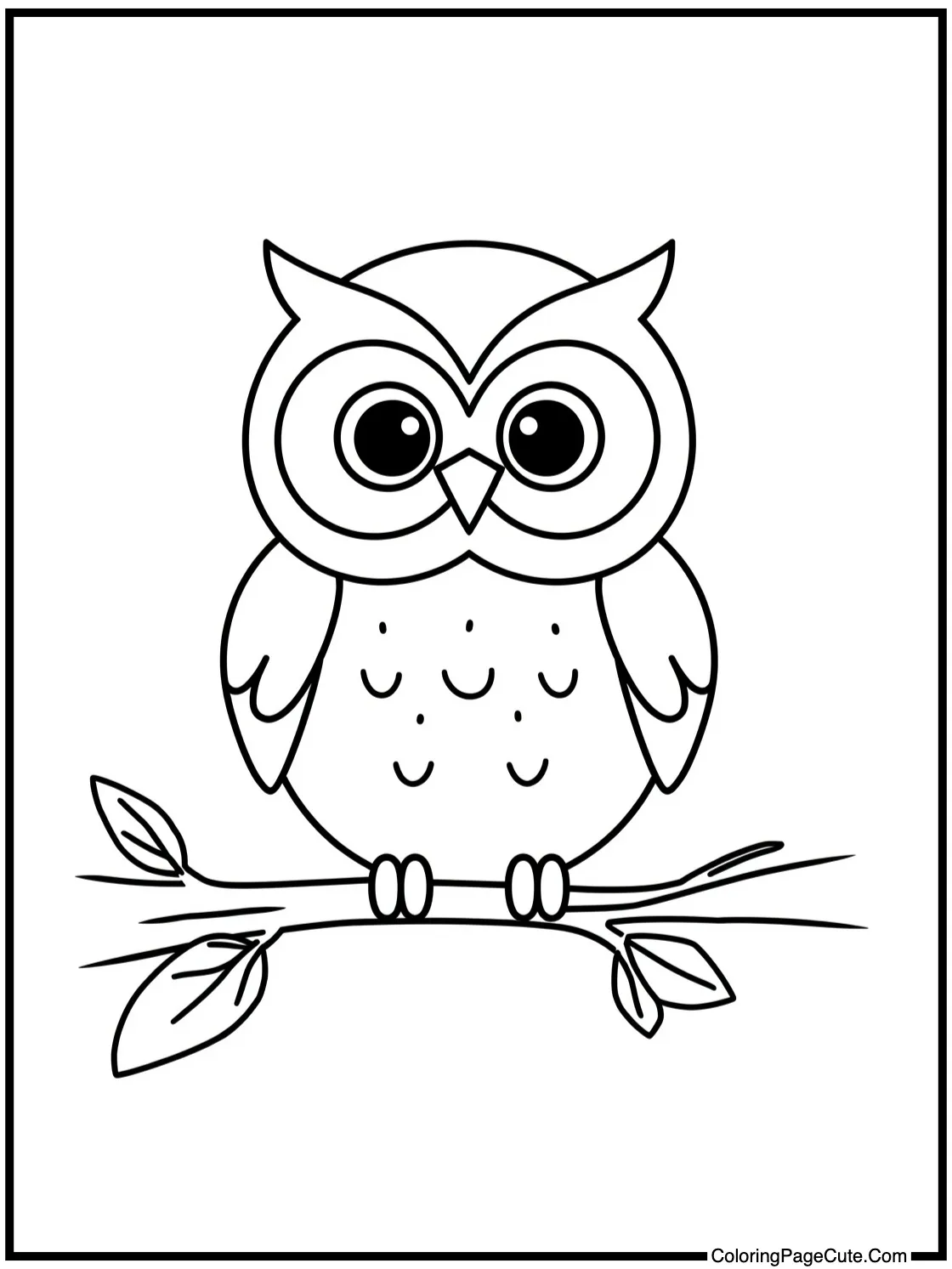 adorable owl perched