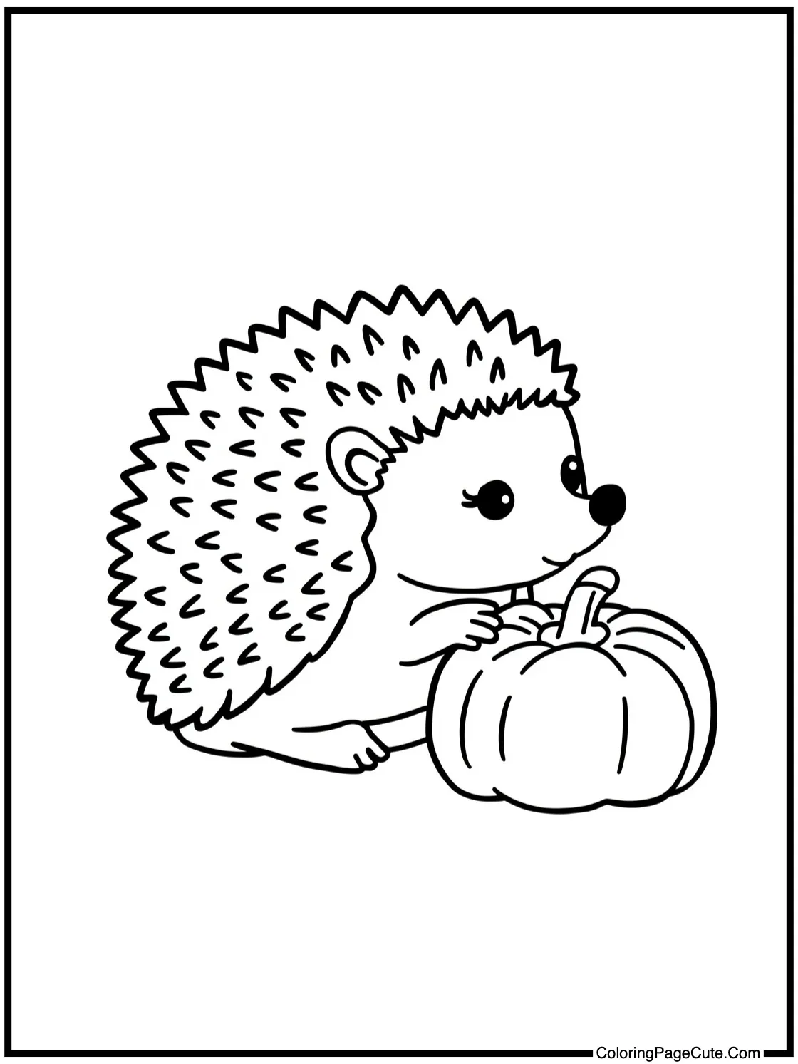 cute hedgehog exploring