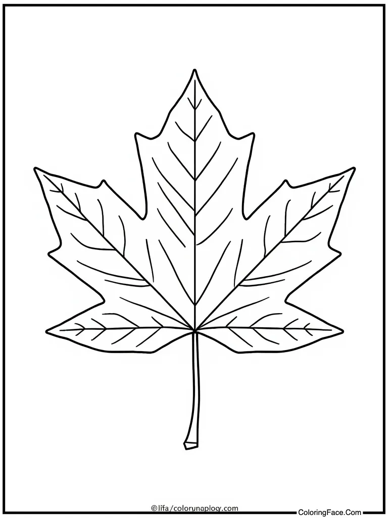 Maple leaf Canadian holiday