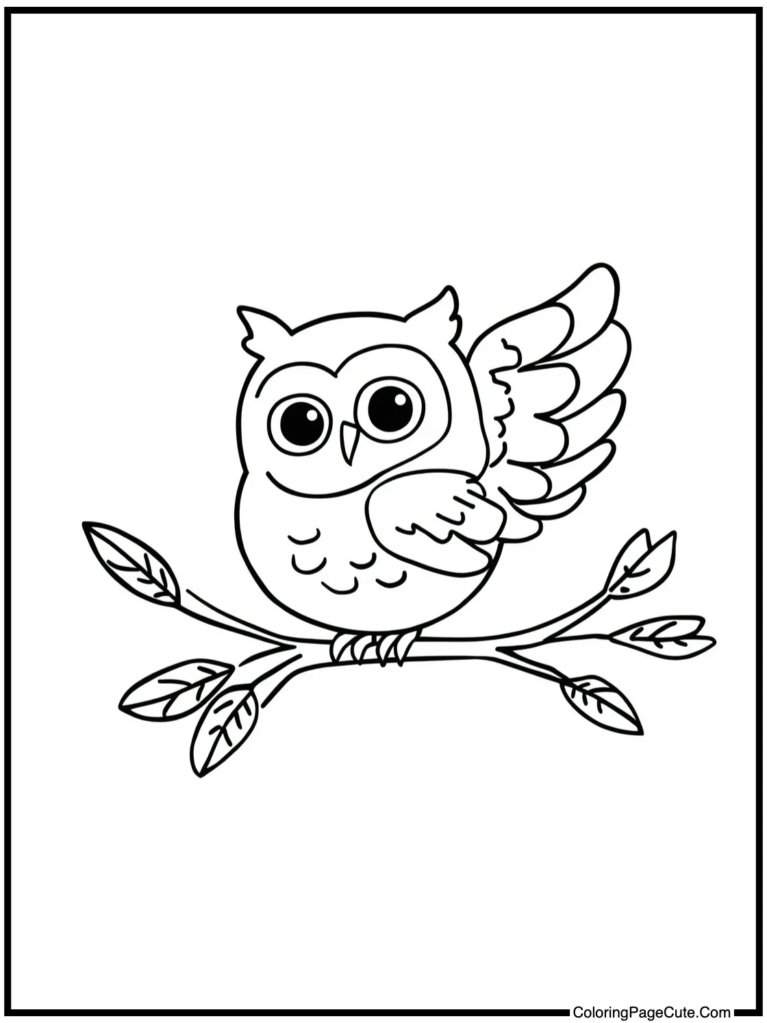 cute owl flying