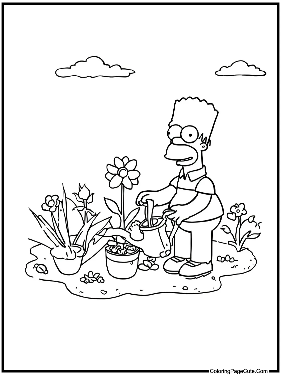 Flanders watering garden