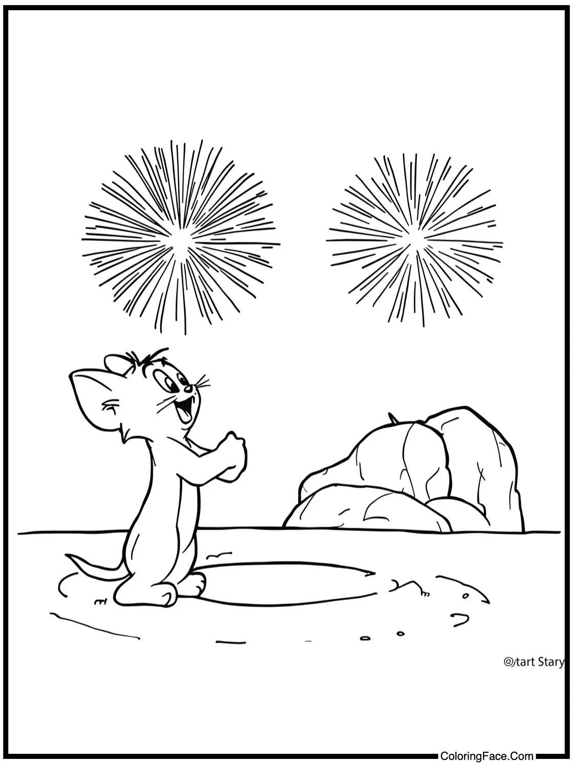 watching fireworks display