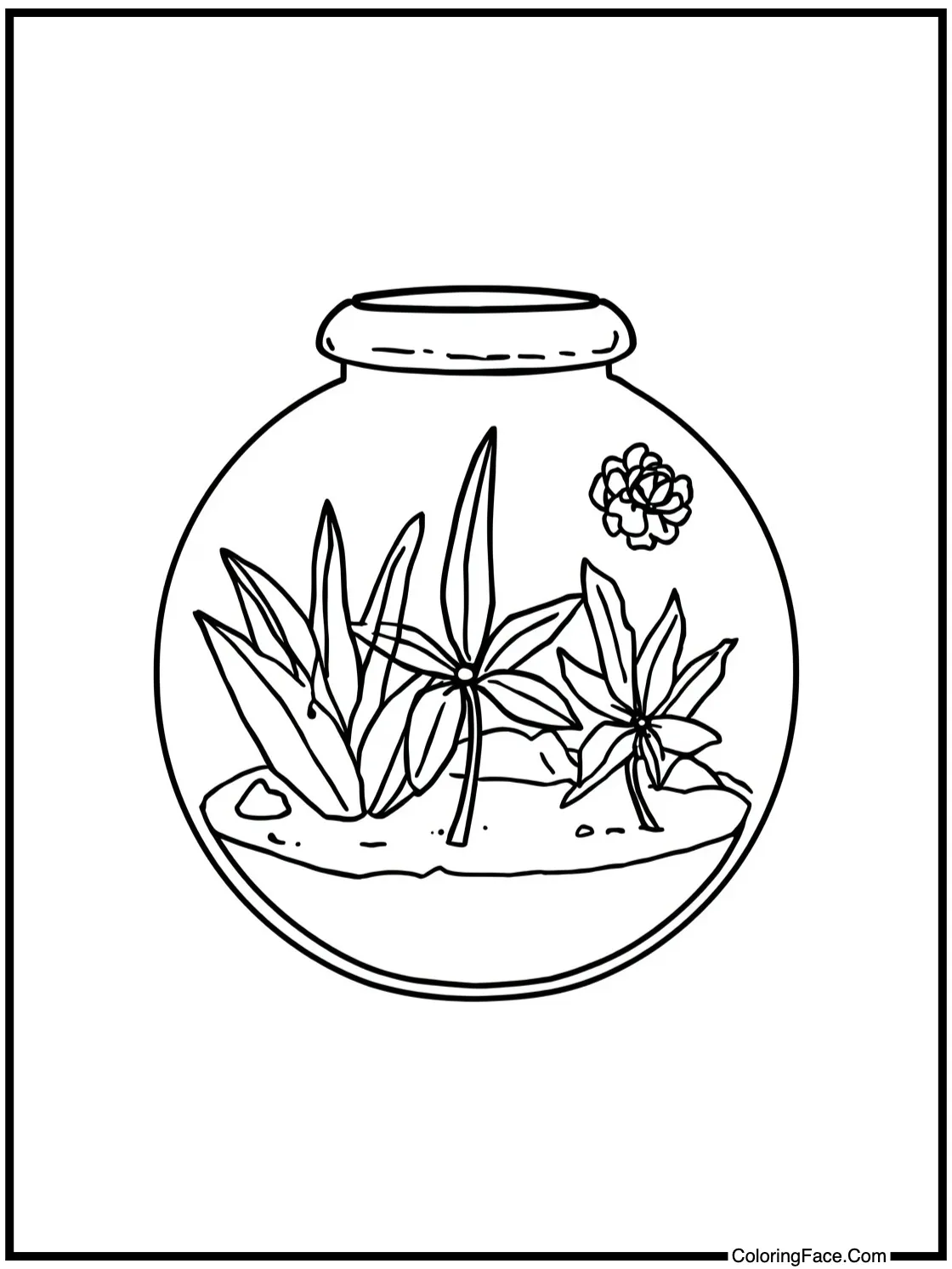 making a terrarium