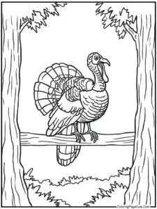 Turkey Coloring Pages For Adults