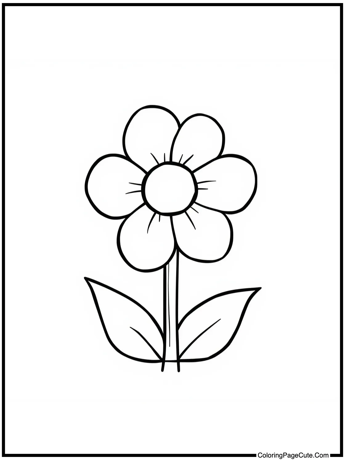 discovering a flower