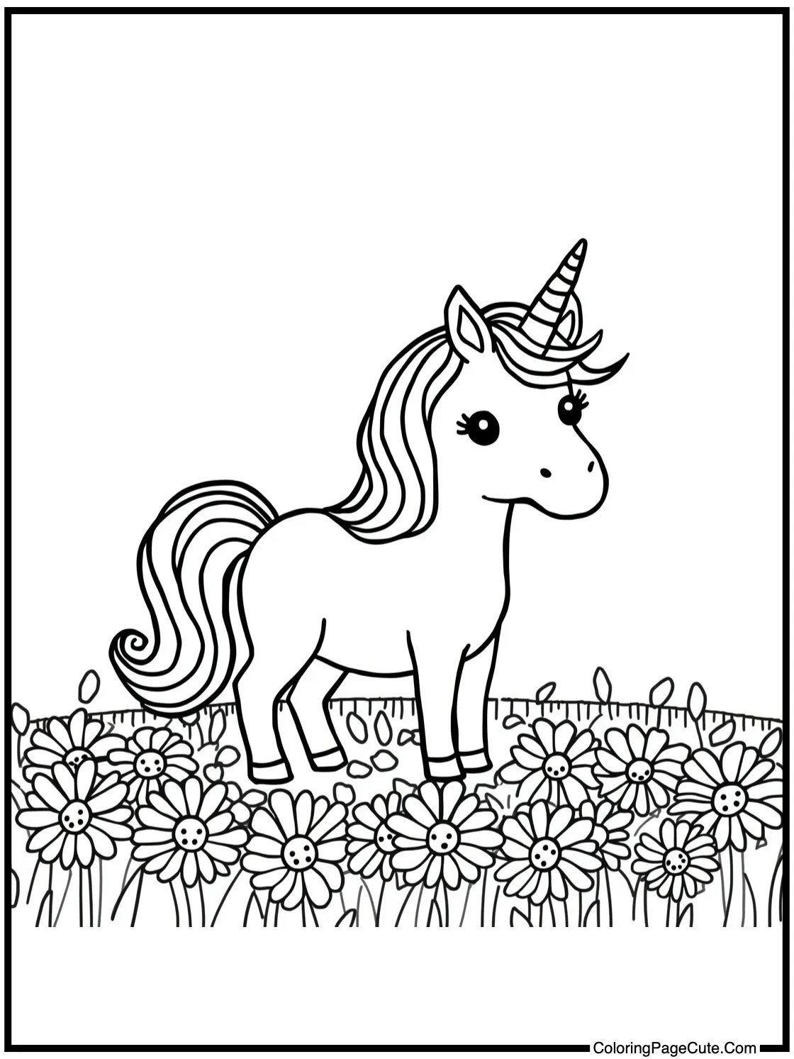 in a field of daisies