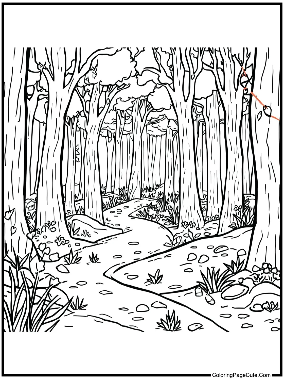 of an enchanted forest