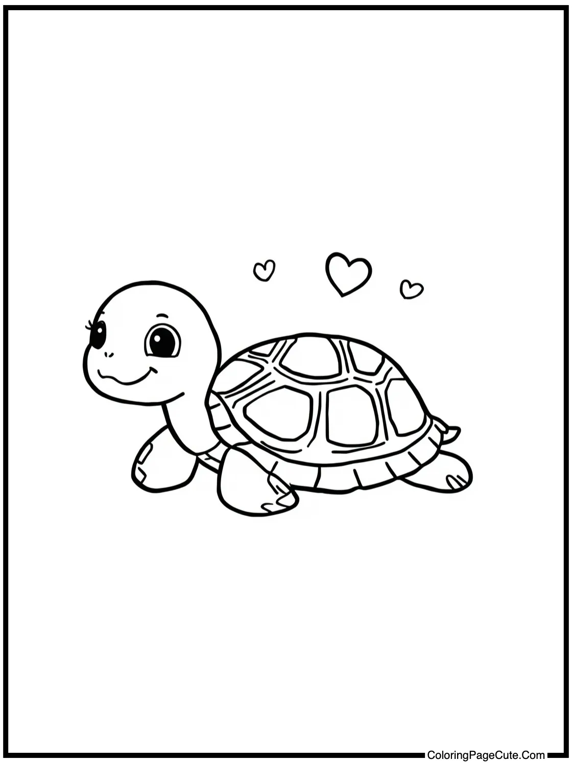 showing a tiny turtle